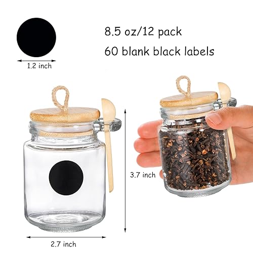 ZENFUN 12 Pack Glass Spice Jars with Bamboo Lid Spoon,