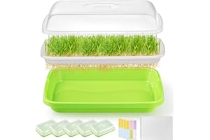FELISTORY 6 Pack Green Seed Sprouter Trays with Lid, Soil-Free Cultivation Germination Tray, Nursery Tray with Planting Paper for Indoors or Outdoors