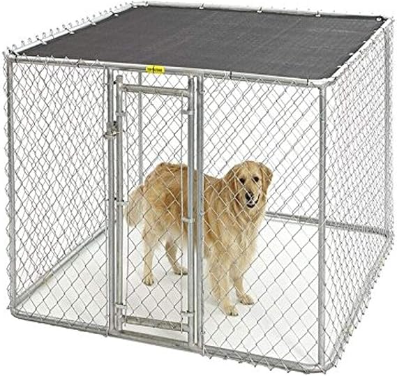 8x8x6 dog pen