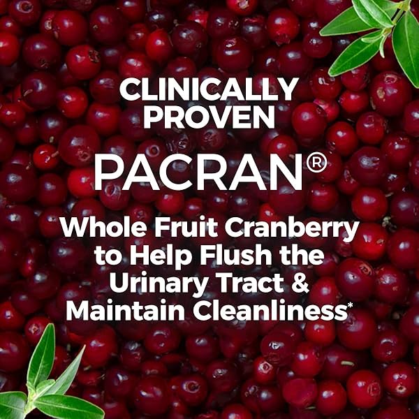 AZO CRANBERRY SUPPLEMENT, MADE WITH CONCENTRATED WHOLE FRUIT CRANBERRY POWDER TO HELP CLEANSE AND PROTECT THE URINARY TRACT*, SUGAR FREE CRANBERRY PILLS, NON-GMO, 100 SOFTGELS