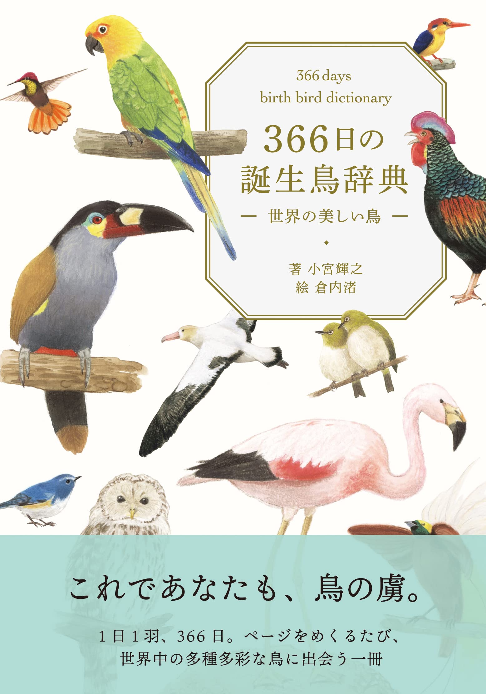 366日の誕生鳥辞典 ー世界の美しい鳥ー 小宮輝之 倉内渚 本 通販 Amazon