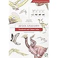 Avian Anatomy: Textbook and Colour Atlas (Second Edition ...