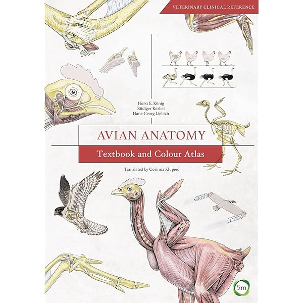 An Atlas of Histology: 9780387949543: Medicine & Health Science