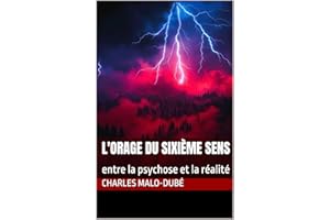 L'orage du sixième sens: entre la psychose et la réalité (French Edition)