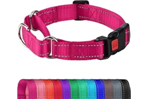 Joytale Martingale Collar for Dogs, Reflective Heavy Duty for Safety, Quick Release Buckle, Adjustable Nylon Collars for Medium Dogs Walking Training, Hotpink,M