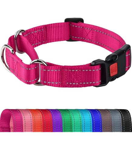 Dogline Round Soft Padded Dog Collar – Microfiber, Comfortable & Durable For Everyday Use