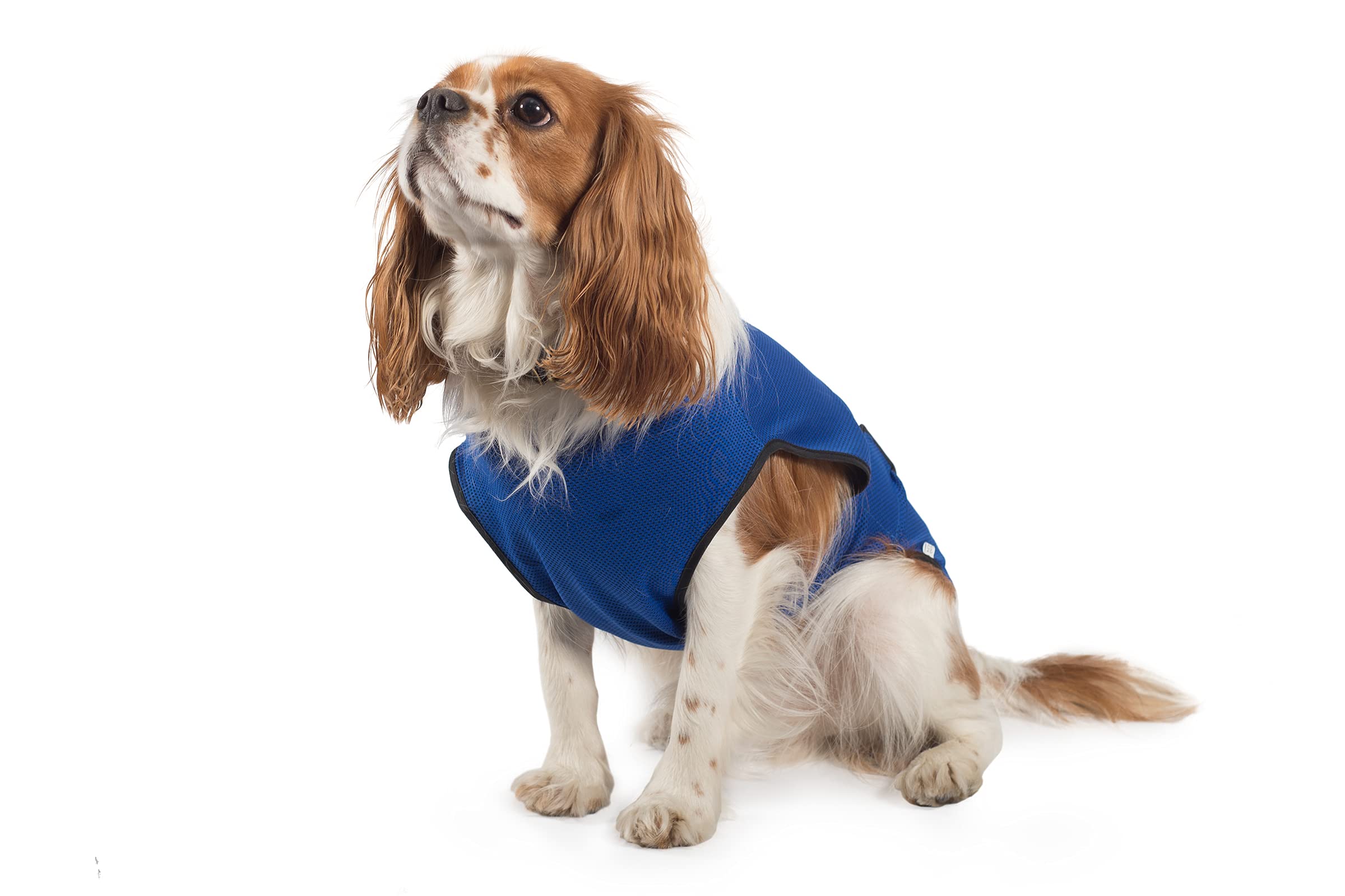 Ancol Pet Cooling Coat Small 30 cm, red