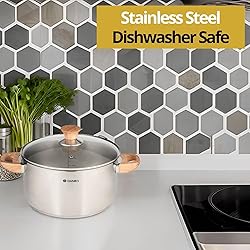 Daniks Oslo Stainless Steel Saucepan with Glass