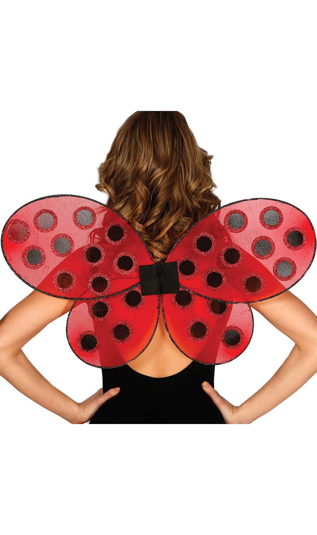 Guirca party beetle wings, 63 x 41 cm, GUI18607