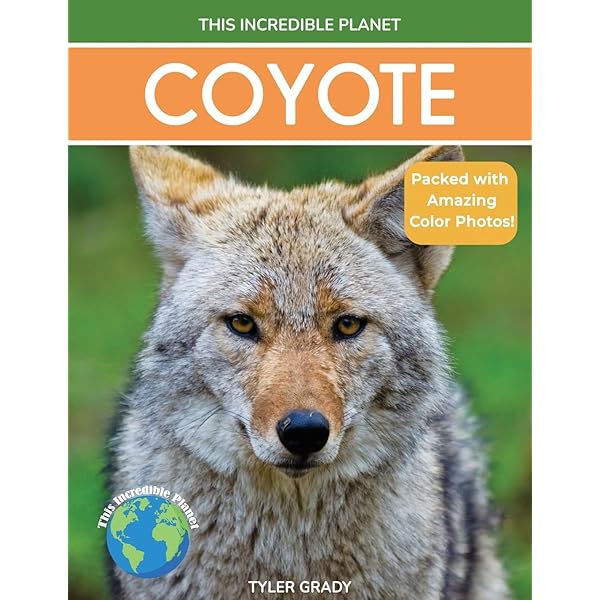 Coyotes (Welcome to the World of.) by Diane Swanson (2010-01-01