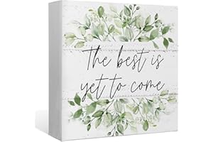 EIONEY The Best is Yet to Come Eucalyptus Leaf Wood Box Sign Desk Decor,Rustic Positive Wooden Block Sign Decorations for Home Bedroom Office Wall Tabletop Shelf Decor