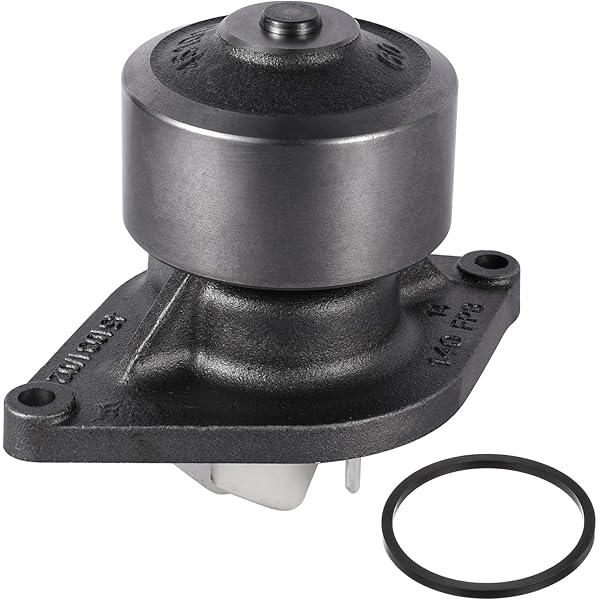 Amazon.com: Water Pump 3800984 4892175 3286278 for Cummins B 
