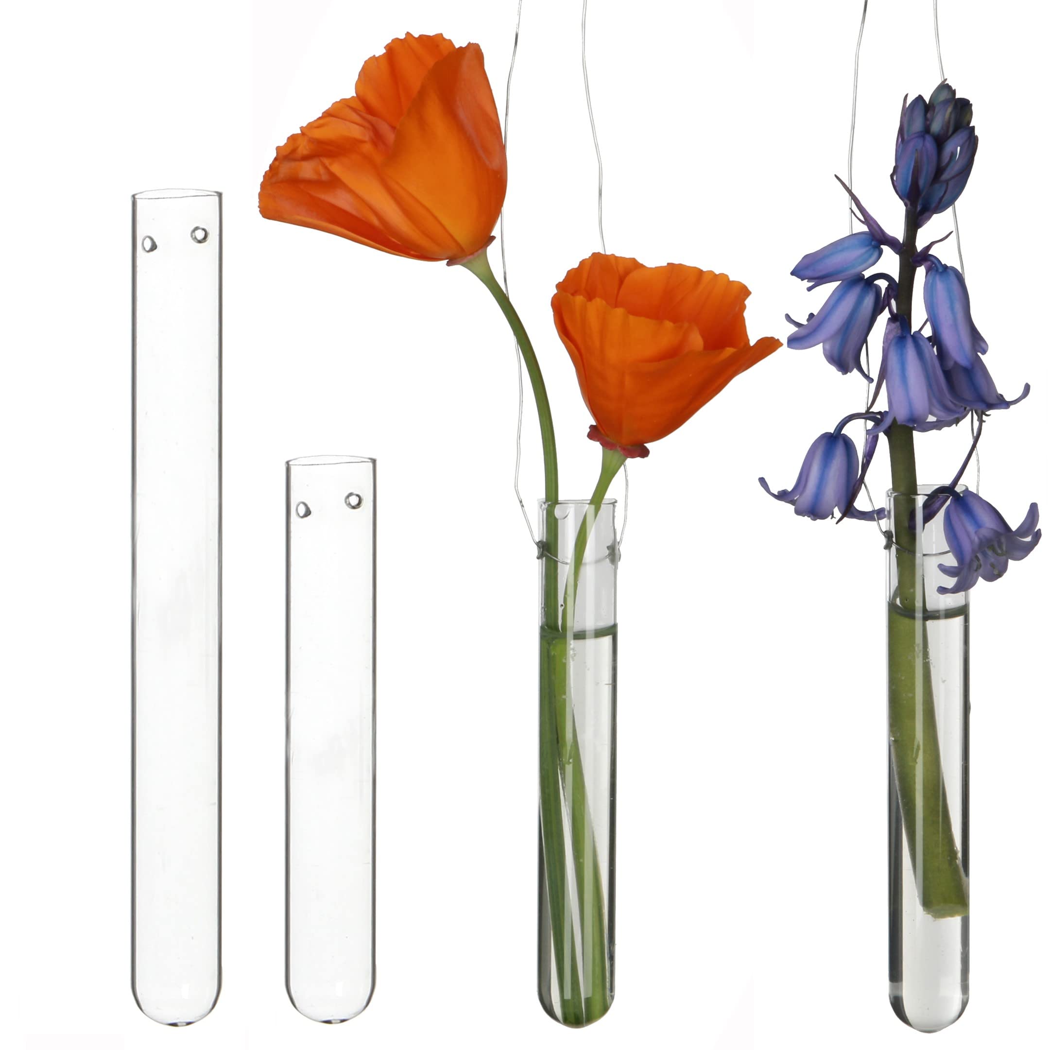 Comforder 12 Glass Test Tubes Vase, Wall Decor Vase, Small Tulip Vases, Glass Vases, Hanging Test Tubes for Flower Arranging (15 cm)