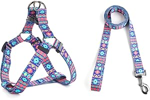 QQPETS Dog Harness Leash Set Adjustable Heavy Duty No Pull Halter Harnesses for Small Medium Large Breed Dogs Back Clip Anti-Twist Perfect for Walking