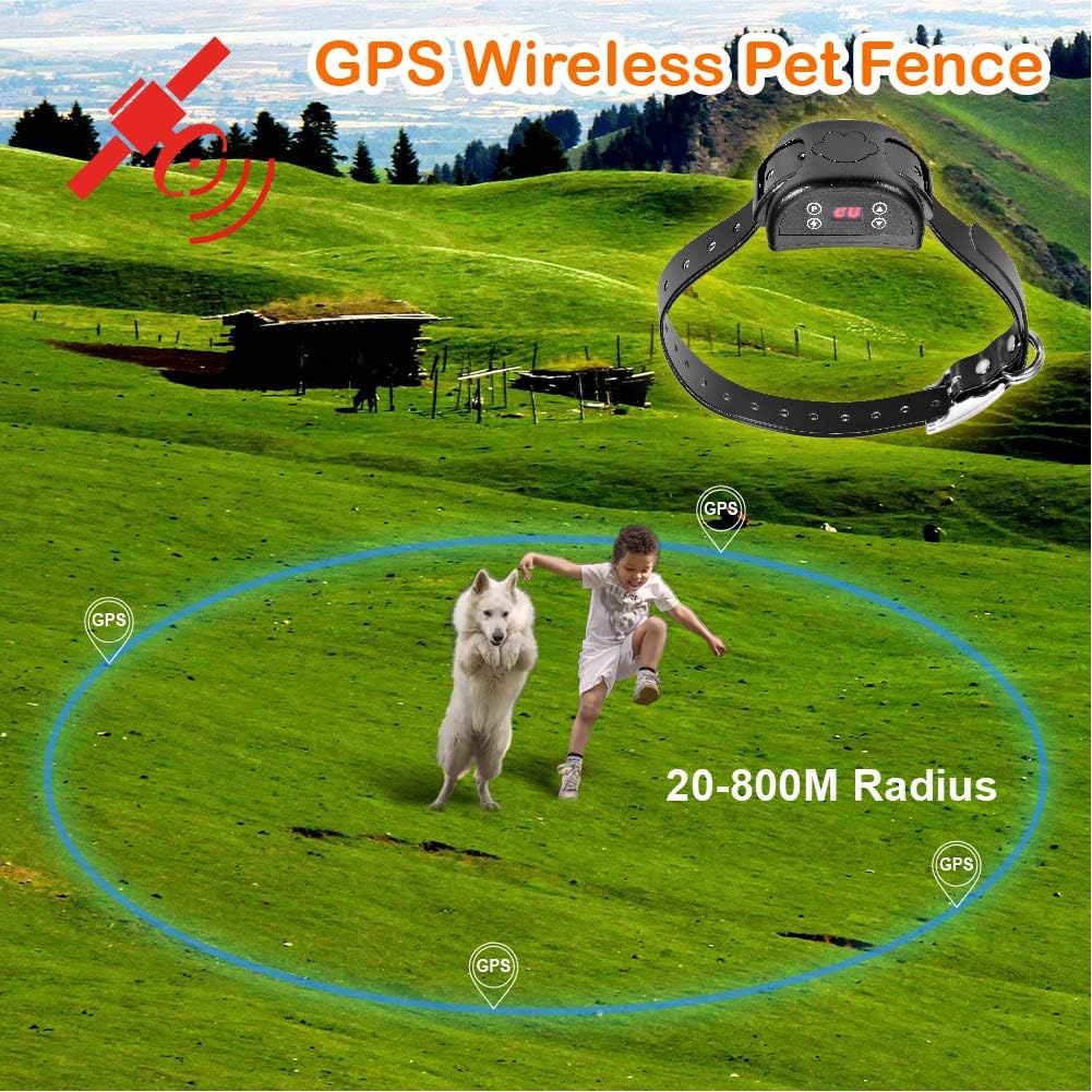 dog shock collar with radius