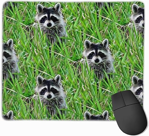 Mapaches - Alfombrilla de ratón Divertida para Pintar Hierba