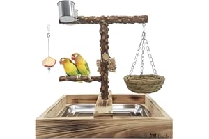 Panbo Bird Playground One Stop Solution, Natural Wood Bird Perch Stand with Nest, Food Holder, Cage Toy – Trims Nails and Beak – Safe for Cockatiel, Caique, Conure, Lovebirds, Senegal, etc. – Upgrade