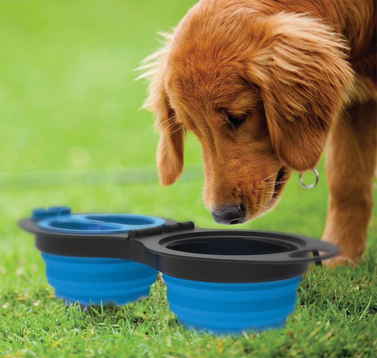 Mindfull Products Collapsible Double Pet Bowl Set, Includes Carabiner Clip, Blue