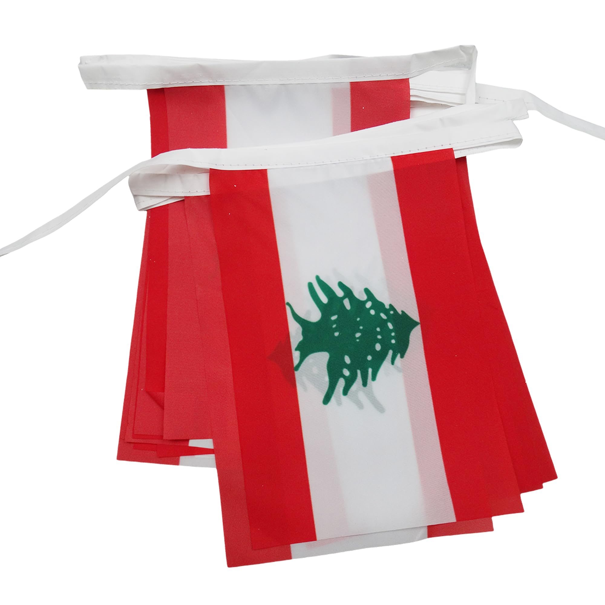 AZ FLAG Lebanon Bunting Flag, 20 Ft Garland with 20 Small Lebanese Flags 8'' x 6'', 100% Polyester String Pennant, 6 meters — image 1
