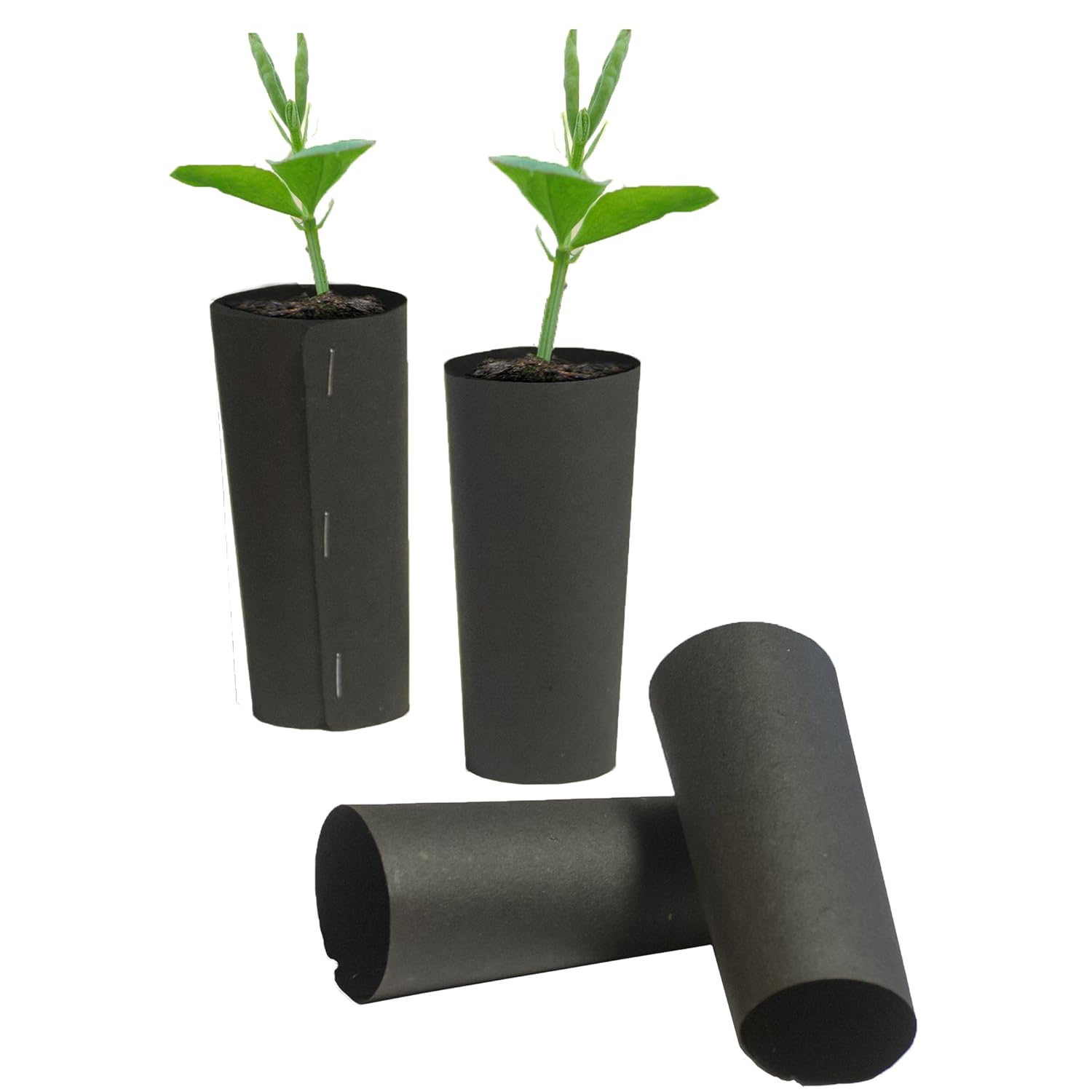 Diy Grow Tubes For Trees at Phillip Robinson blog