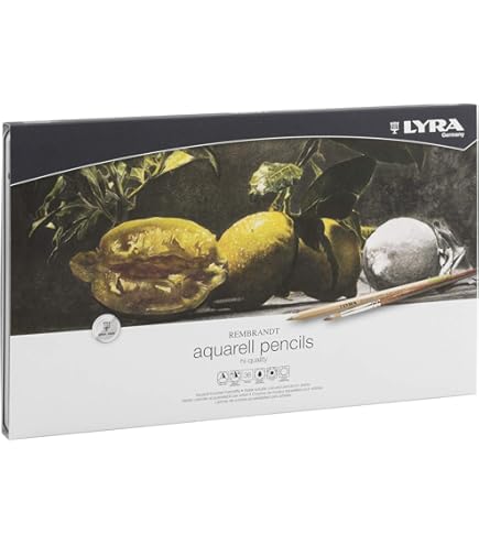 Amazon.com: Lyra Rembrandt Polycolor Colored Pencils - 36