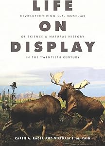 kindle best category lists