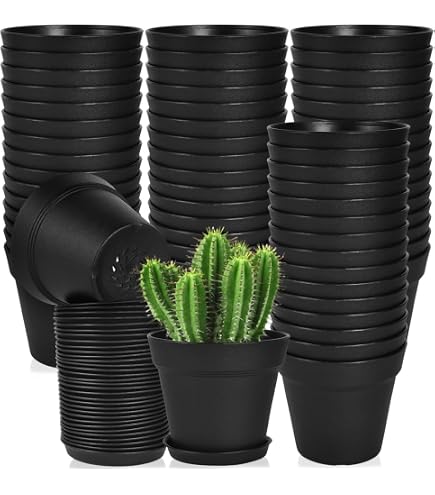 cactus plant flea market air force 1 Nike Air Force 1 Low Cactus Plant Flea Market Black (2024)