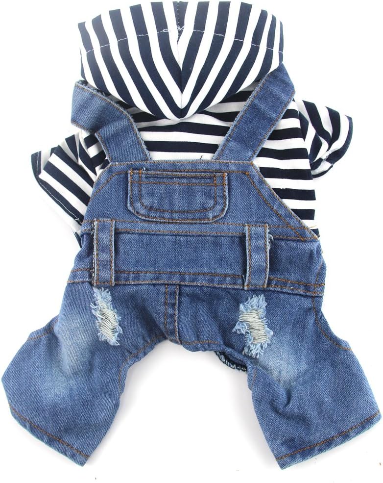 one piece dress with jeans jacket