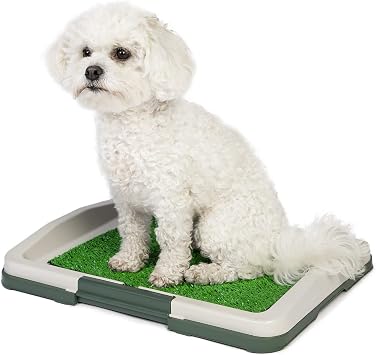 Hundeklo Hunde Toilette Hundetoilette Fur Kleine Hunde Welpen