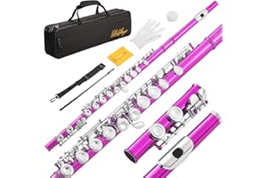 LeSage Closed Hole C Flute 16 Key Blue Student Pink Beginner Starter with Case, Maintenance Kit, Cleaning Cloth, C Foot, Offset G, Y-arm