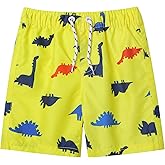 LIZENS Boys Swim Trunks UPF 50+ Quick Dry Beach Bathing Suit Toddler Swimsuit Swimwear