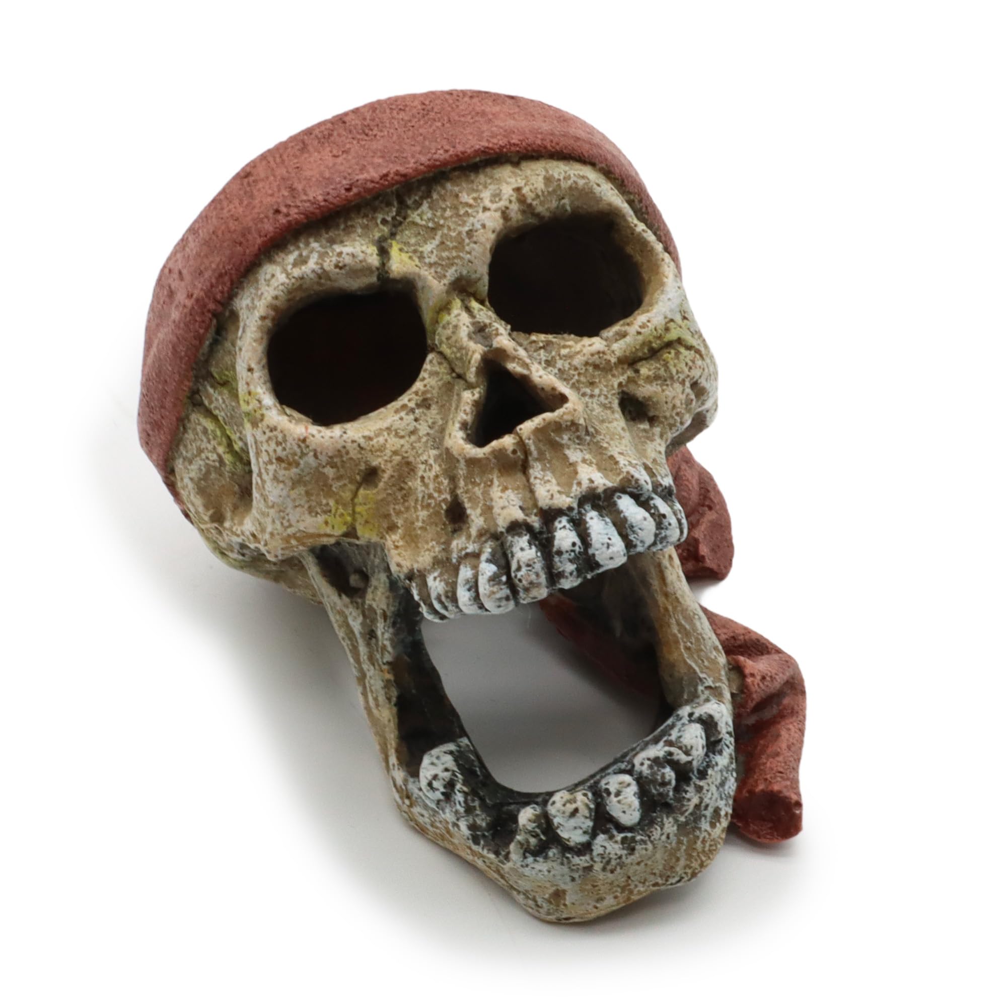 wave Pirate Skull With Bandage