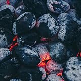 The Chemical Hut 12KG Instant Light BBQ Charcoal Bags Anti-Bacterial Pen view 2
