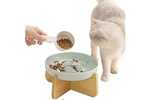 SUPERPAWS Slow Feeder Cat Bowl with Stand, Ceramic Slow Eating Cat Bowl Fish Pool Design Elevated Cat Food Bowl for Dry and Wet Food Anti-Vomiting Cat Puzzle Feeder for Healthy Eating Diet (Green)