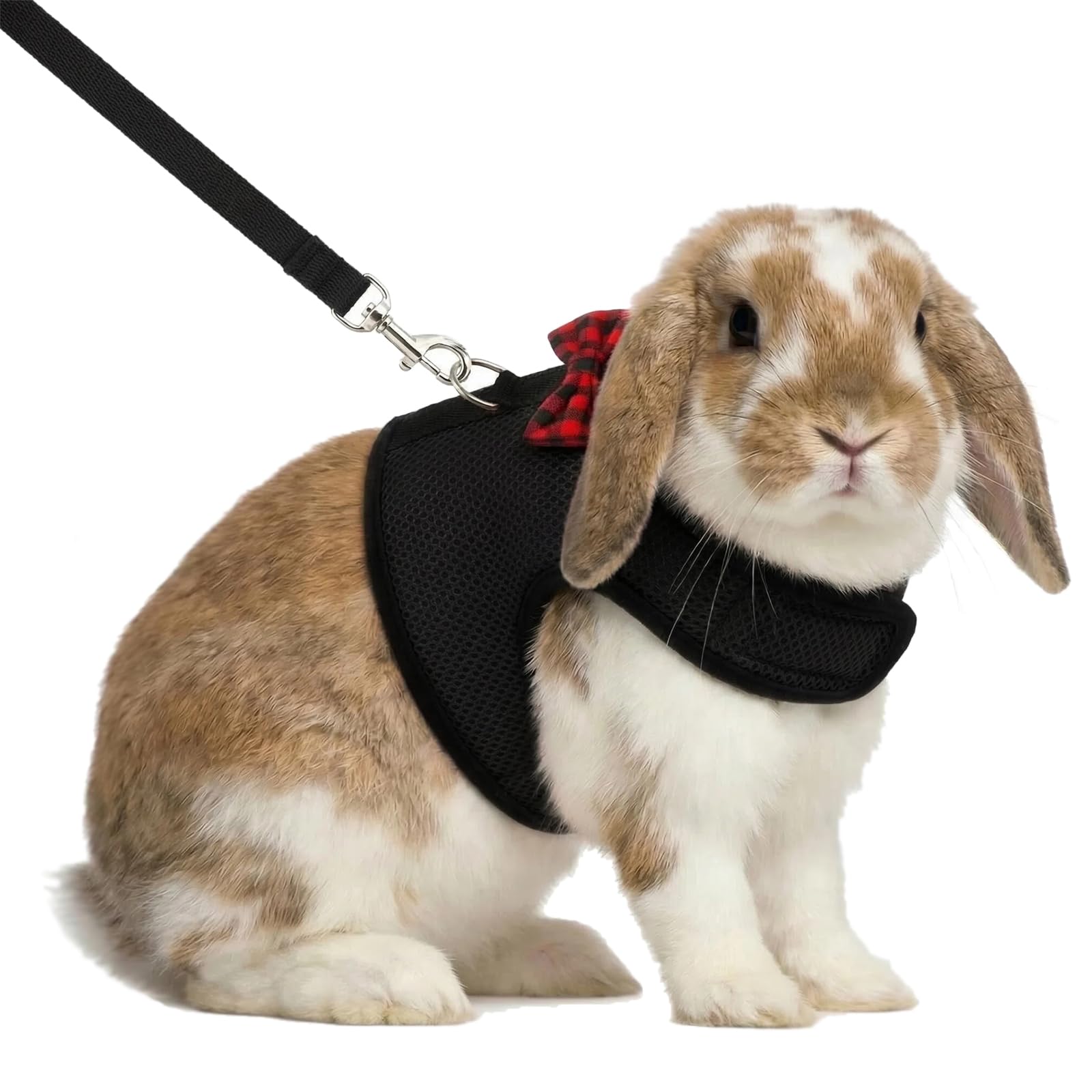 Hypeety Bunny Kitten Harness No Pull Cat Leash Stylish Vest Harness for Small Animal Adjustable Soft Breathable Walking Harness Set (BLACK, S)