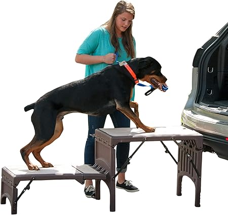 pet gear free standing pet ramp