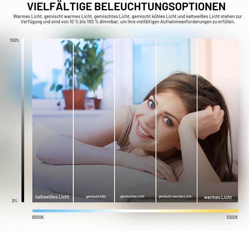 Basics 5" Ringlicht für Videokonferenz Beleuchtung 2er Pack Ansteck Licht Set mit Schreibtischstativen für Monitor Laptop Computer Zoom Live Streaming Home Office Lernen Videoaufzeichnung BR60