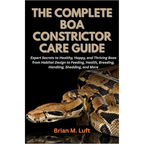 Boa Constrictors As Pets. Boa Constrictor Comprehensive Owners