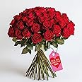 GlobalRose Real Fresh Cut Red Roses - 50 Fresh Flowers - Fresh Flowers Bouquet for Wedding