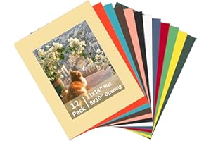 ZBEIVAN 12 Packs Mixed Colors 11x14 Picture Frame Mats for 8x10 Photos, Artworks and Prints, White Core Bevel Cut Frame Mattes