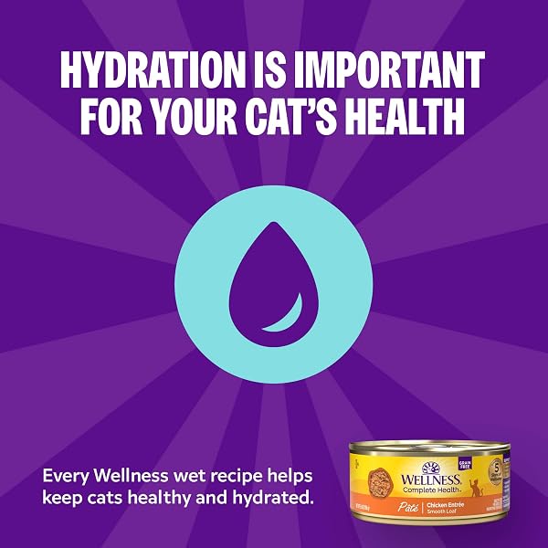 WELLNESS COMPLETE HEALTH PATE VARIETY PACK ADULT CANNED WET CAT FOOD, NATURAL, PROTEIN RICH, GRAIN FREE, CHICKEN AND TURKEY FAVORITES, 5.5 OZ, PACK OF 12 CANS