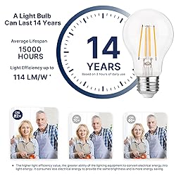 FLSNT 60W Equivalent Dimmable A19 LED Light