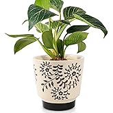 STHIE Indoor Ceramic Plant Pots with Drainage Holes 5 Inch Cute Succulent Flower Pots Small Orchid Planter Pots for Indoor Plants Garden Pots, Flower