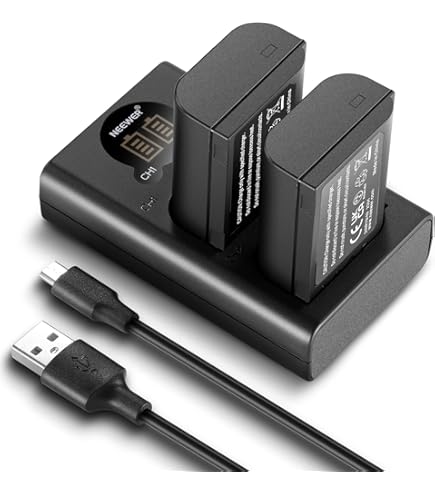Amazon.com : Micro USB Battery Charger for Panasonic Lumix DC-GH5S