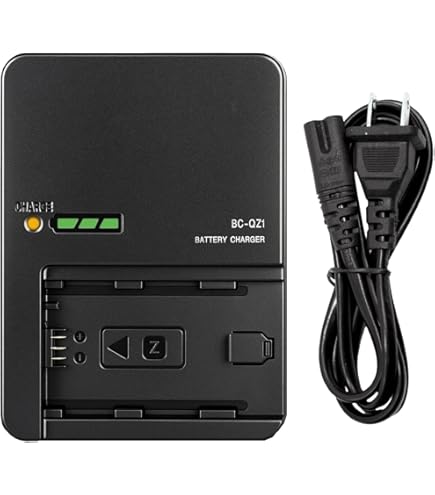 Amazon.com: Sony BC-U2A Dual-Bay Charger/AC Adapter for BP-U90/U60