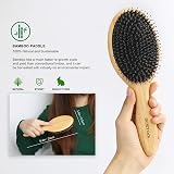BESTOOL Hair Brush Boar & Nylon Bristles Round Paddle Eco Bamboo view 3
