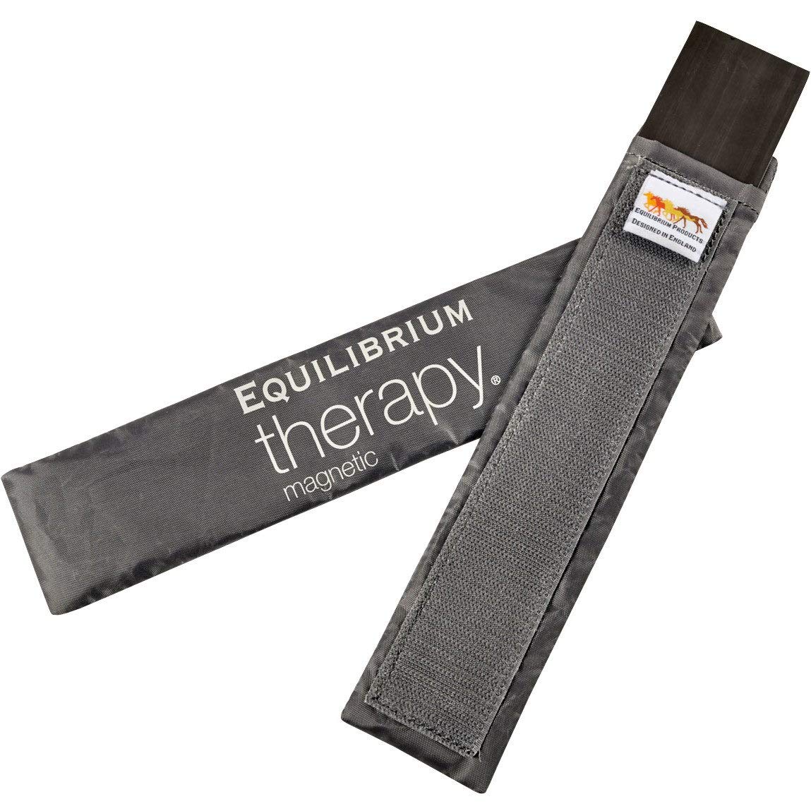 equilibrium Spare Therapy Magnets, Large