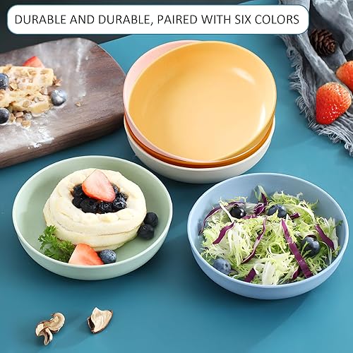 SwellishColor Wheat Straw Dinner Plates Set of 6,6 Inch Dishwasher