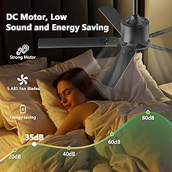 BECLOG Ceiling Fan 60" Outdoor/Indoor, Ceiling Fans