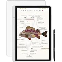 XPPen 3 in 1 Color Digital Notebook 10.95'' Paper Note Taking Tablet with 16384 Pressure Levels Battey-Free X3 Pro Pencil 2 M